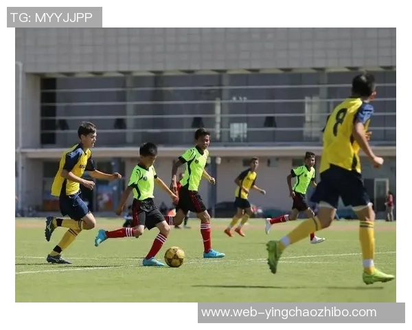 七人制足球比赛的魅力与战术解析探索团队协作与个人技术的完美结合